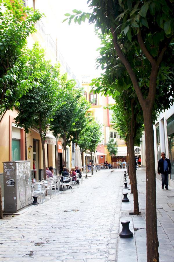 Апартаменти Plaza Nueva Terraza Севілья Екстер'єр фото